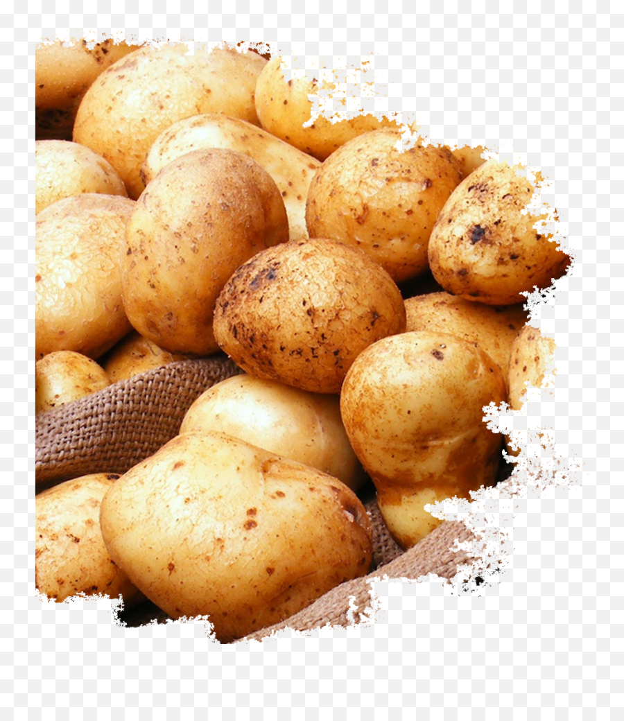 Potatoes U2013 Mccoy International Png