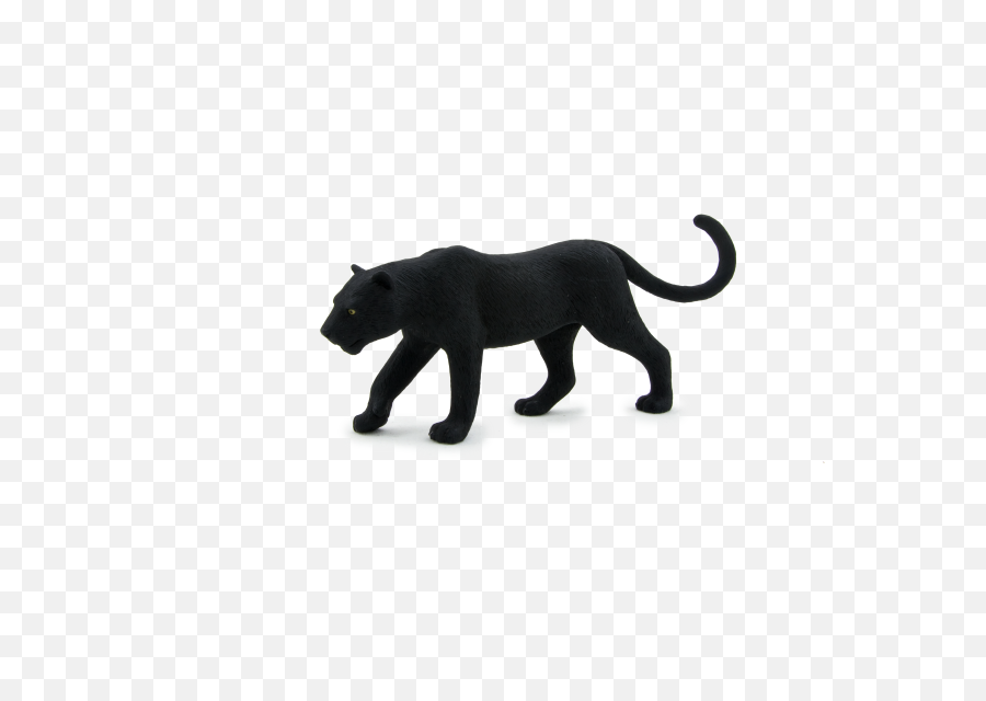 Animal Planet Black Panther Full Size Png Download Seekpng - Black Panther Animal,Black Panther Png
