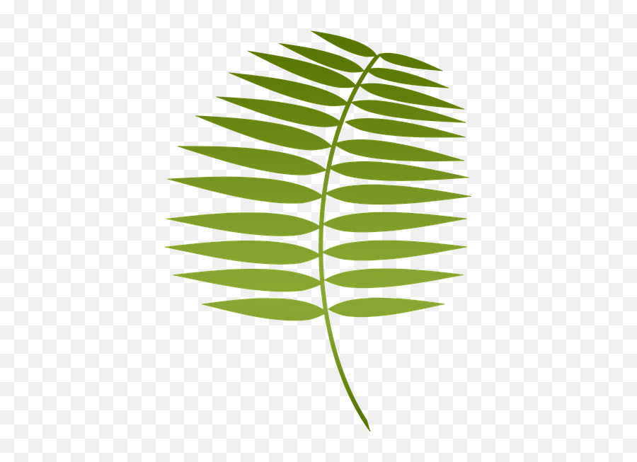 Palm Leaf Png - Lent Clipart Palm Leaf Lent Palm 485588 Smooth Sumac,Palm Leaf Png