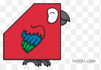 Irregular Pentagon 01 Pretty Polygon Shapes Maths Parrot - Clinometer Transparent png