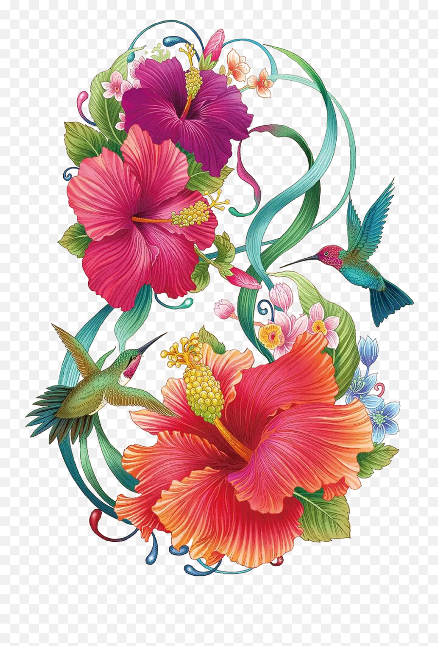 Download Hibiscus Flower Color Hand Painted Common Painting - Hand Painted Hibiscus Flower Png,Hibiscus Flower Png