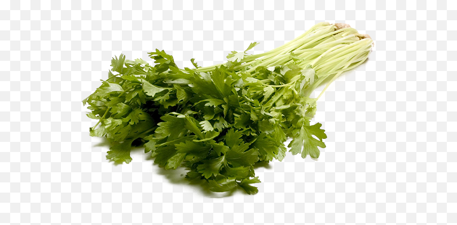 Large Stalk Celery Png - Vegetable,Celery Png