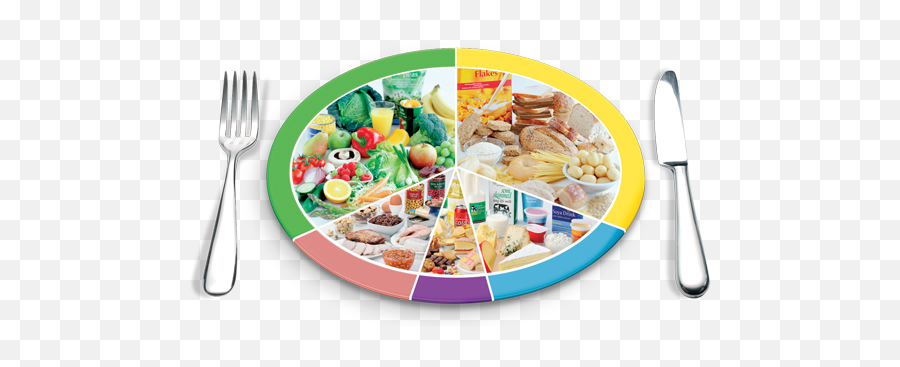 Pregnancy Food Plate Png