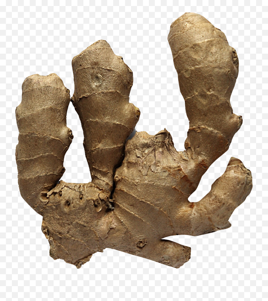 Ginger Png Image - Ginger,Ginger Png