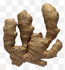 Ginger Png Image - Ginger,Ginger Png