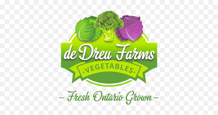 De Dreu Farms U2013 Cabbage Broccoli U0026 Kale Fresh Ontario Grown - Broccoli Png,Cabbage Transparent Background