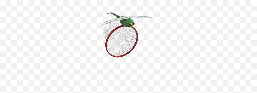 Portfolio Chrislovedesign - Racquetball Png,Throw Png