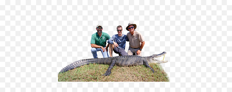 Gator Hunt - Big Time Texas Hunts Tpwd American Alligator Png,Alligator Transparent