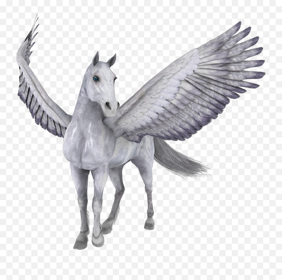 Pegasus Png Images Flying Horse