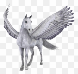 Pegasus Png Images Flying Horse