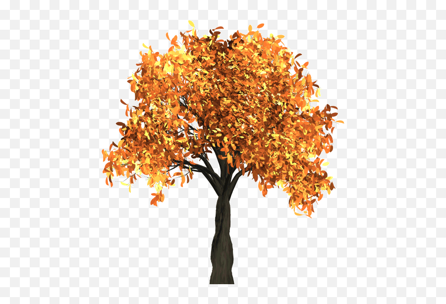 Tree Png Images Quality Transparent - Transparent Background Autumn Tree Clipart,Tree Transparent