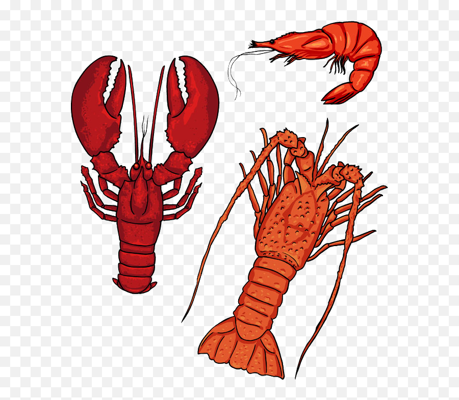 Download Seafood Lobster Silhouette - Langosta Crustáceo Dibujo Png,Lobster Png