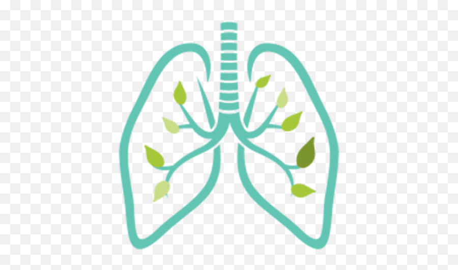 Cropped - Lung Png,Lung Png