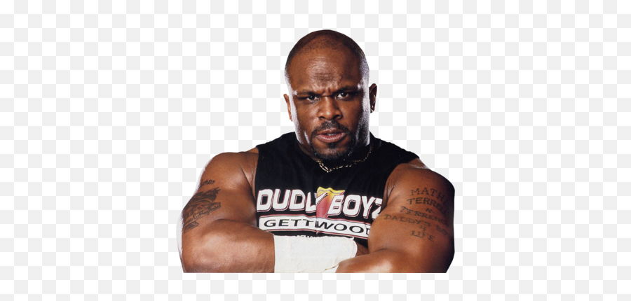 Dexterblaquewrestling Professional Wrestlers Tna Impact - D Von Dudley Png,Hulk Hogan Transparent