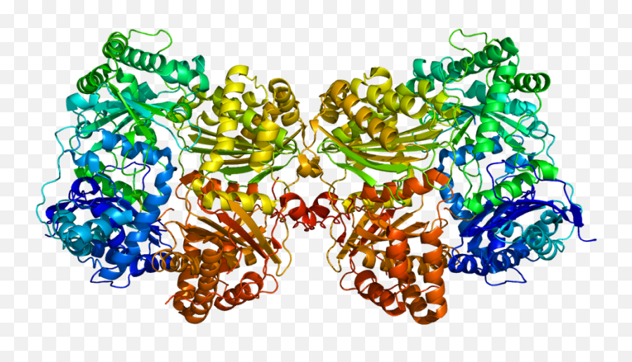 Protein Ide Pdb 2g47 - Enzymer Png,Protein Png