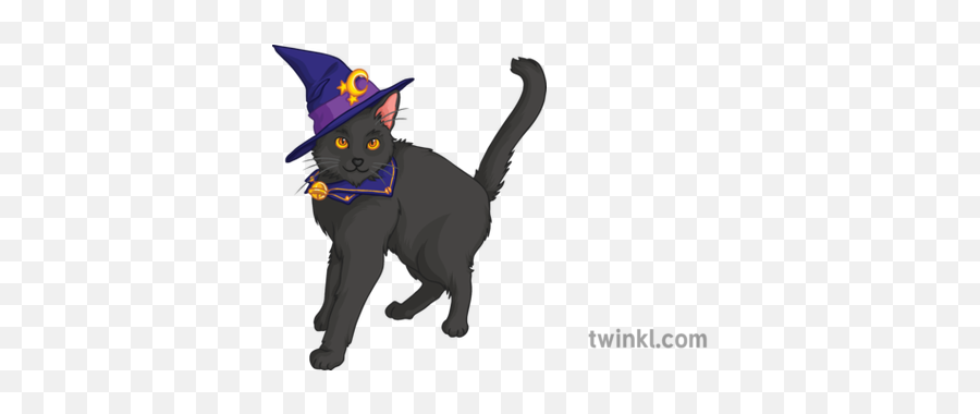 Witch Black Cat Halloween Spooky - Cartoon Magic Black Cat Png,Halloween Cat  Png - free transparent png images 