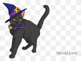Witch Black Cat Halloween Spooky - Cartoon Magic png