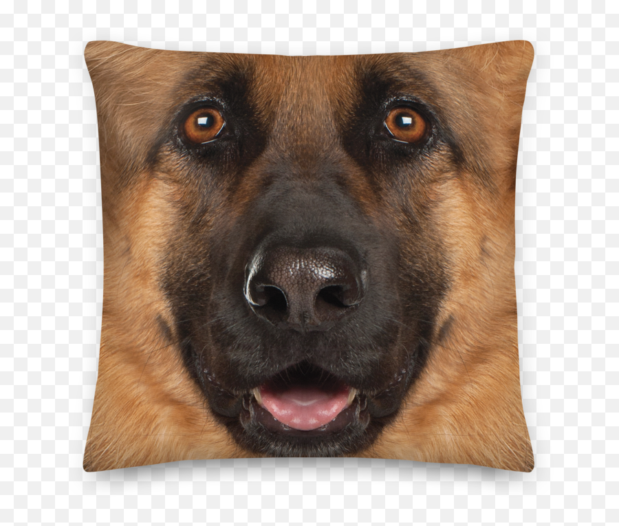 German Shepherd Dog Premium Pillow Png Transparent