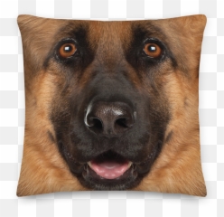 German Shepherd Dog Premium Pillow Png Transparent