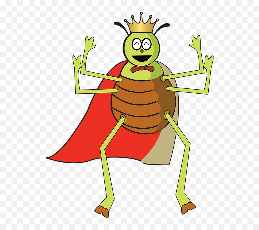 Flea - Bug In A Crown Png,Flea Png