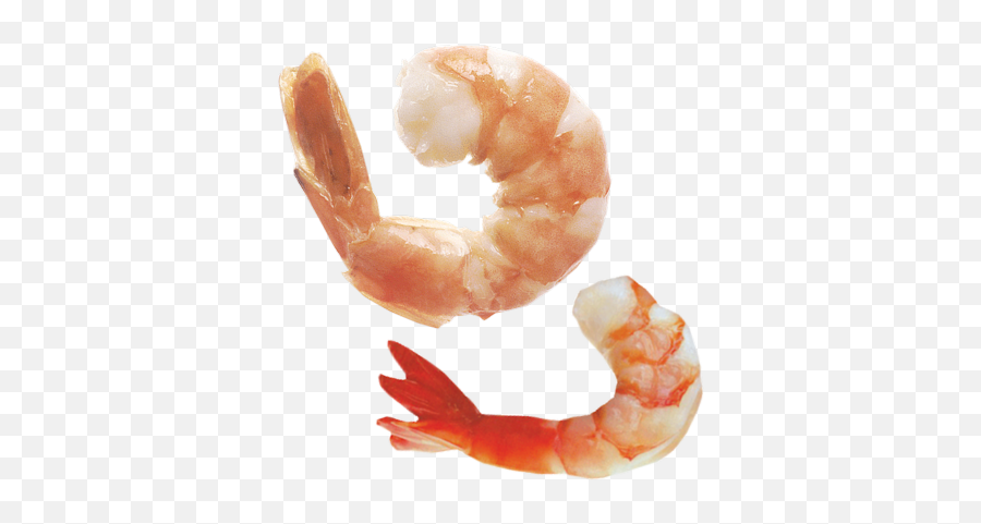 Shrimps Icon Clipart 52559 - Web Icons Png Shrimp Eat,Prawn Icon