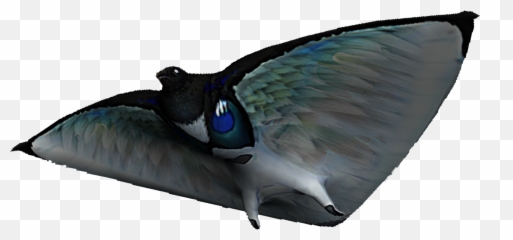 The Fishes From Subnautica Png Image - Fandom,Subnautica Png
