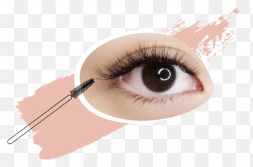 About Us Eyelash Extension Price - Extensions png