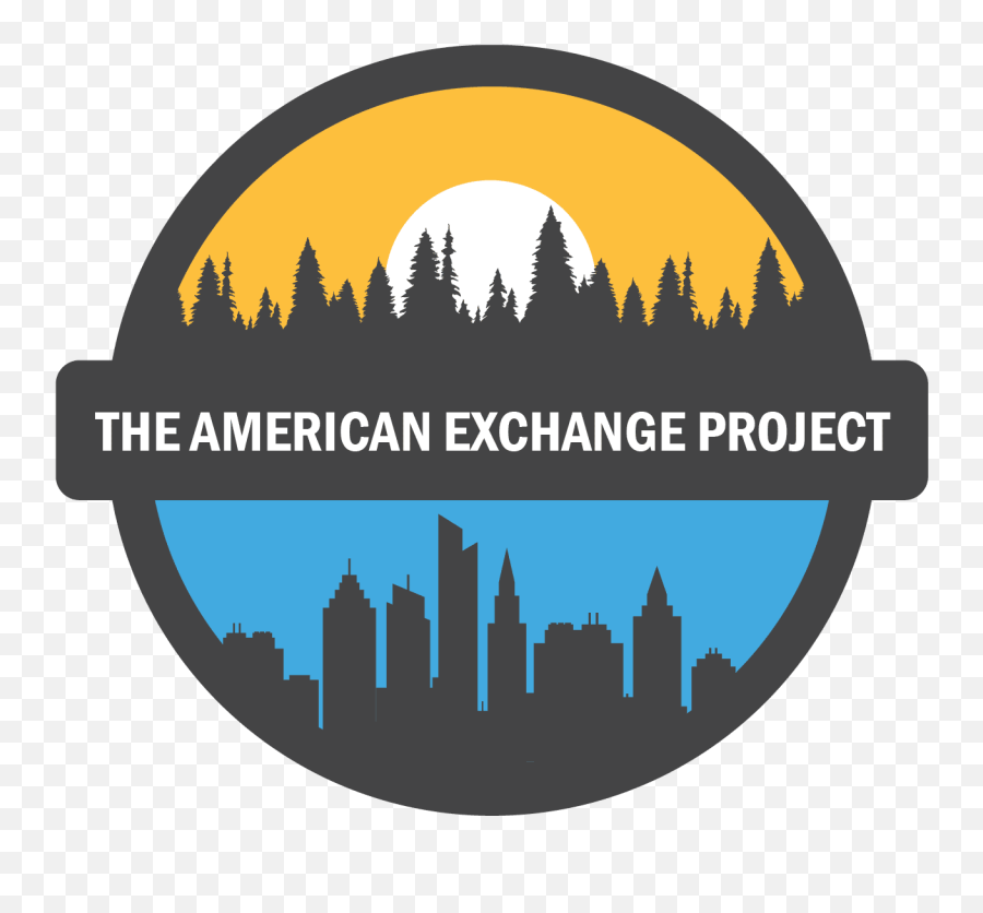 American Exchange Project - American Exchange Project Png,Dr Web Icon