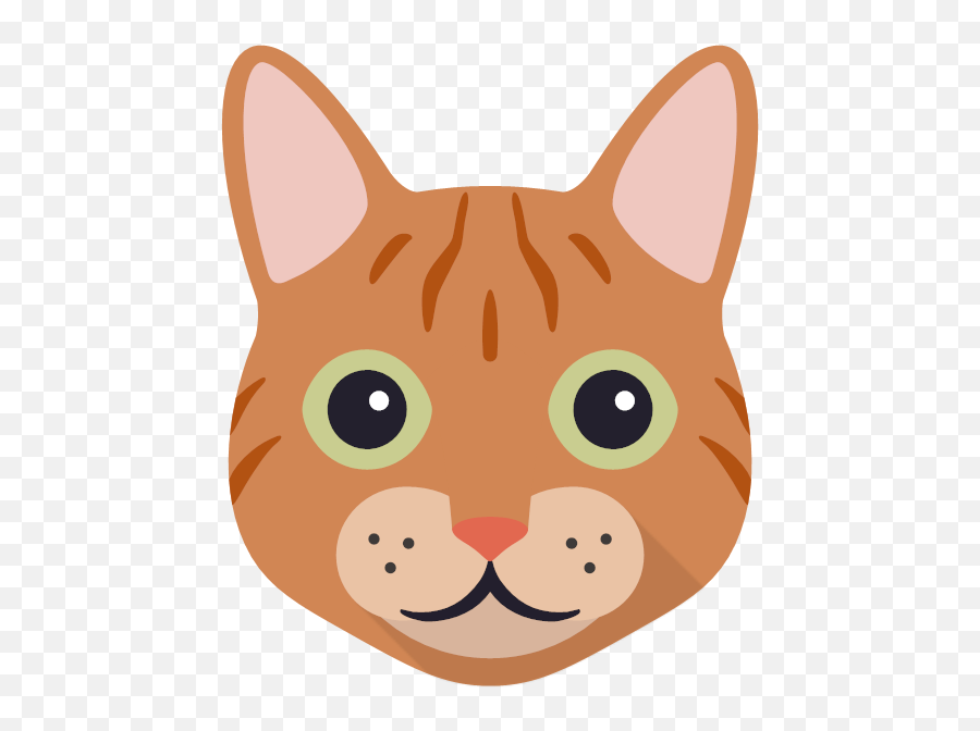 Ugh Peopleu0027 - Personalized Cat Mug Yappycom Transparent Images Cat Faces Png,Mathews Icon