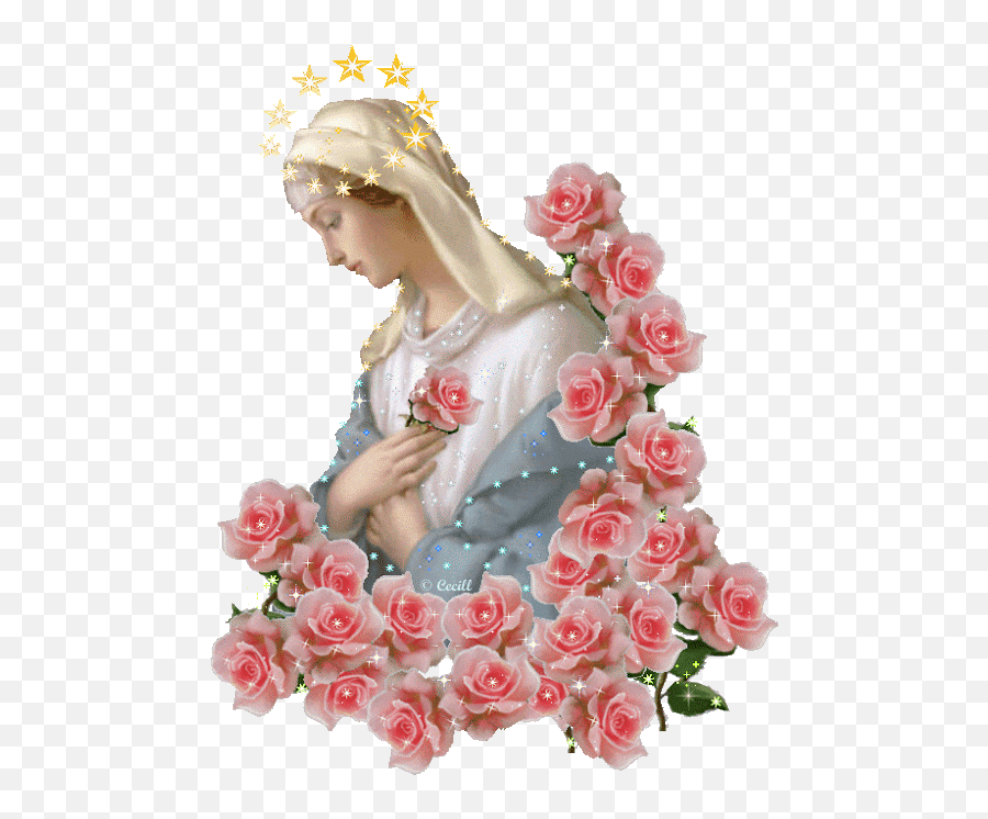 110 Mother Mary Ideas Blessed - Rose Mother Mary Png,Blessed Virgin Mary Icon