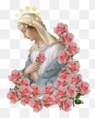 110 Mother Mary Ideas Blessed - Rose Mary png
