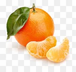 Clementine Png And Vectors For Free - Clémentine Fine,Clementine Png