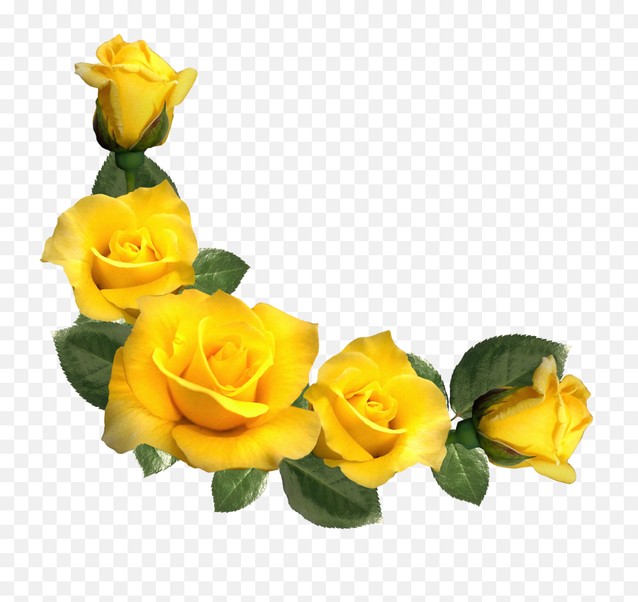 Decoration Clipart Yellow - Yellow Roses Clip Art Png,Decor Png