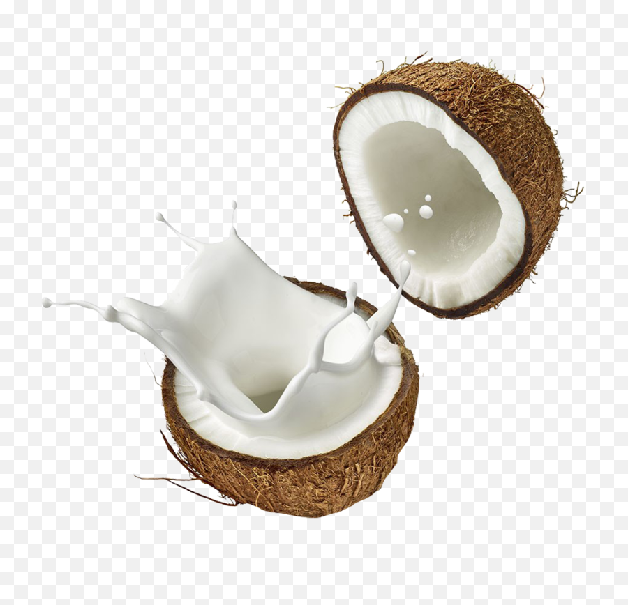 Coconut Png Background Image - Coconut Milk Png,Coconut Png