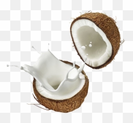 Coconut Png Background Image - Coconut Milk Png,Coconut Png