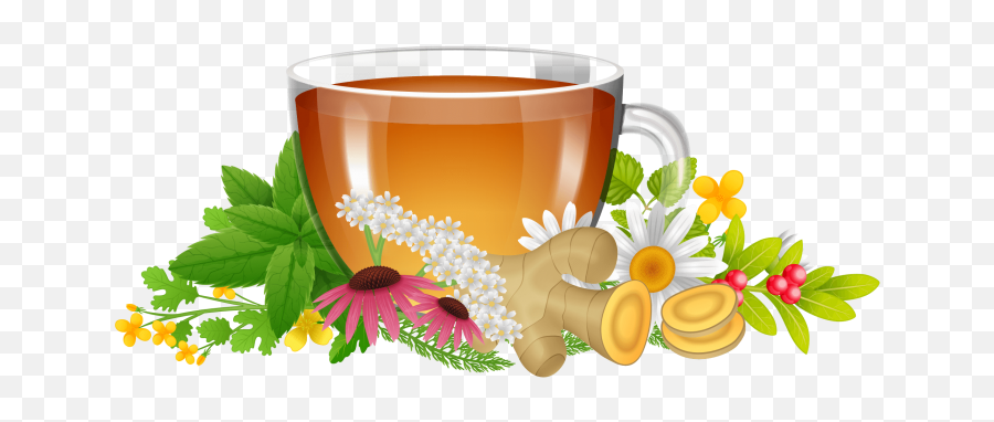 Herbal Tea Png Image Free Download - Background Herbal Tea Png,Tea Png