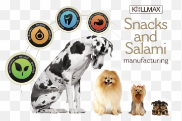 Download Dog - Salami Png Image With No Background Pngkeycom,Salami Png