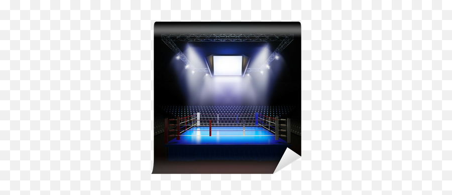 Empty Professional Boxing Ring - Boxing Match Background Png,Boxing Ring Png