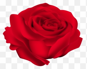 Transparent Red Flower Clipart Png