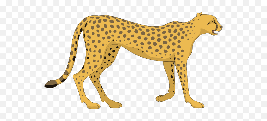 Free Cheetah Cliparts Download Clip Art - Cheetah Clipart Png,Chester Cheetah Png