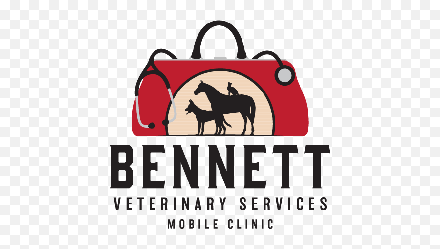 Veterinary Services Horse Veterinarian - Rocky Patel Twentieth Anniversary Rothschild Png,Veterinary Logo