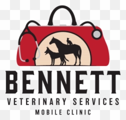 Veterinary Services Horse Veterinarian - Rocky Patel Twentieth Anniversary Rothschild png
