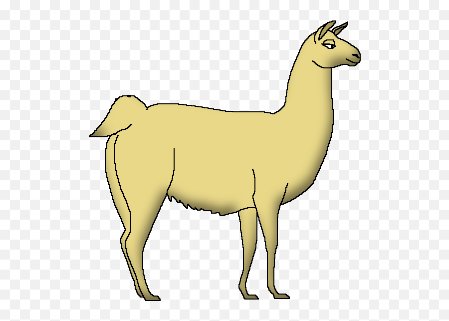 Llama - Llama Png,Llama Png