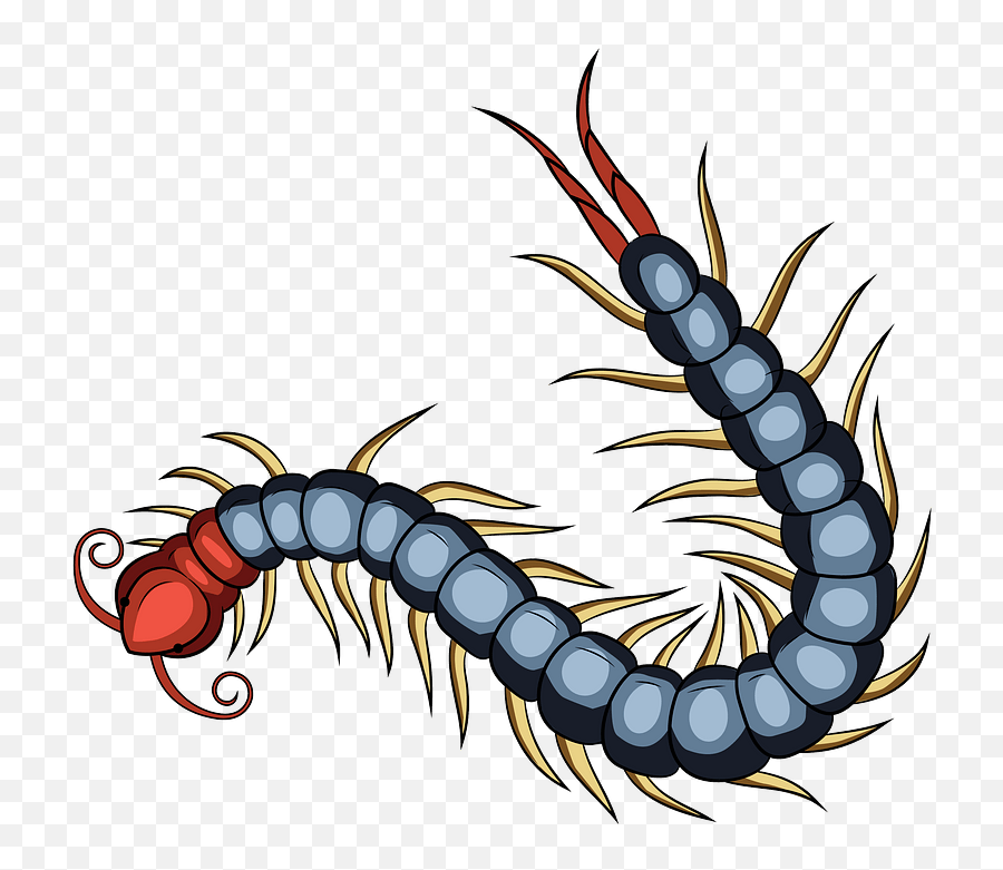 Chinese Red Headed Centipede Clipart - Transparent Centipede Png,Centipede Png