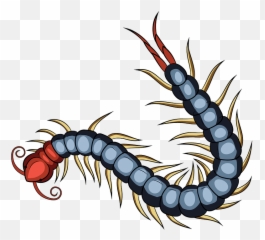 Chinese Red Headed Centipede Clipart - Transparent Centipede Png,Centipede Png