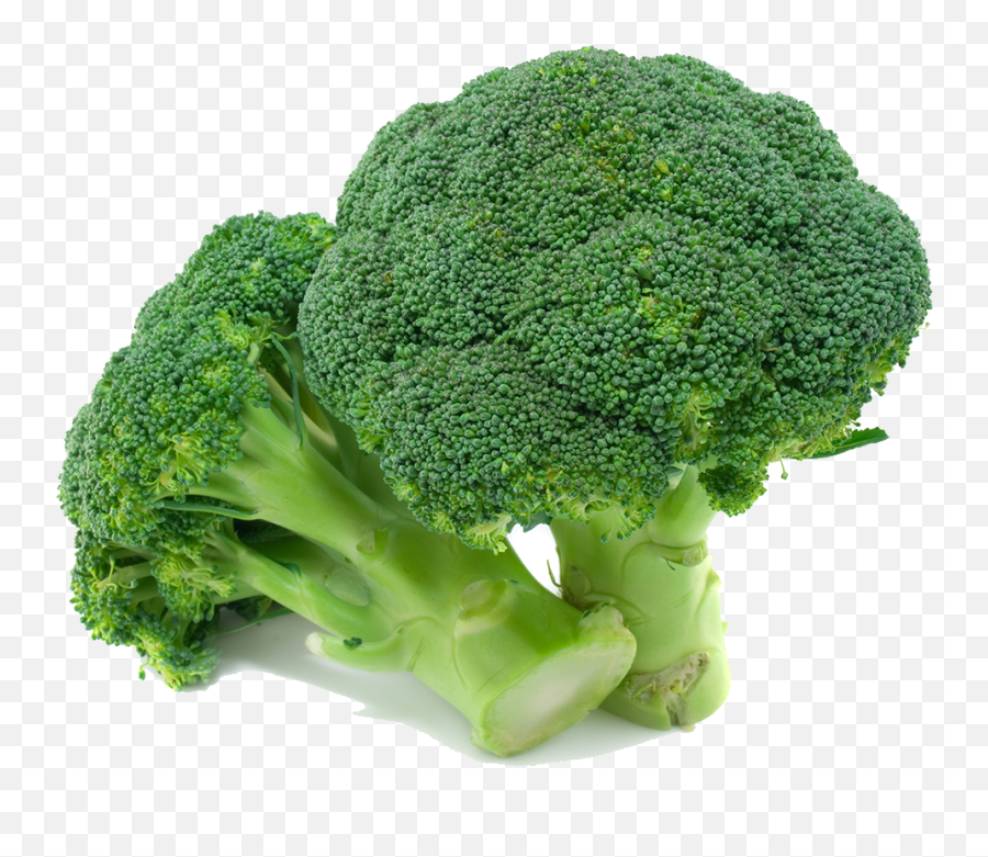 Broccoli Png Images Free Download - Broccoli Transparent,Brocolli Png