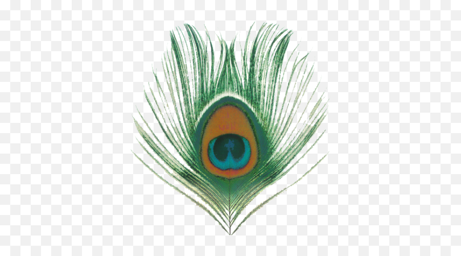Peacock Feather Eye Png Transparent Images - 3117 Xtc Apple Venus Volume 1 Discogs,Green Eye Png