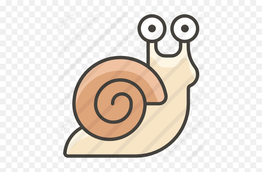 Snail - Free Animals Icons Caracol Icono Png,Snail Png