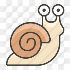 Snail - Free Animals Icons Caracol Icono Png,Snail Png
