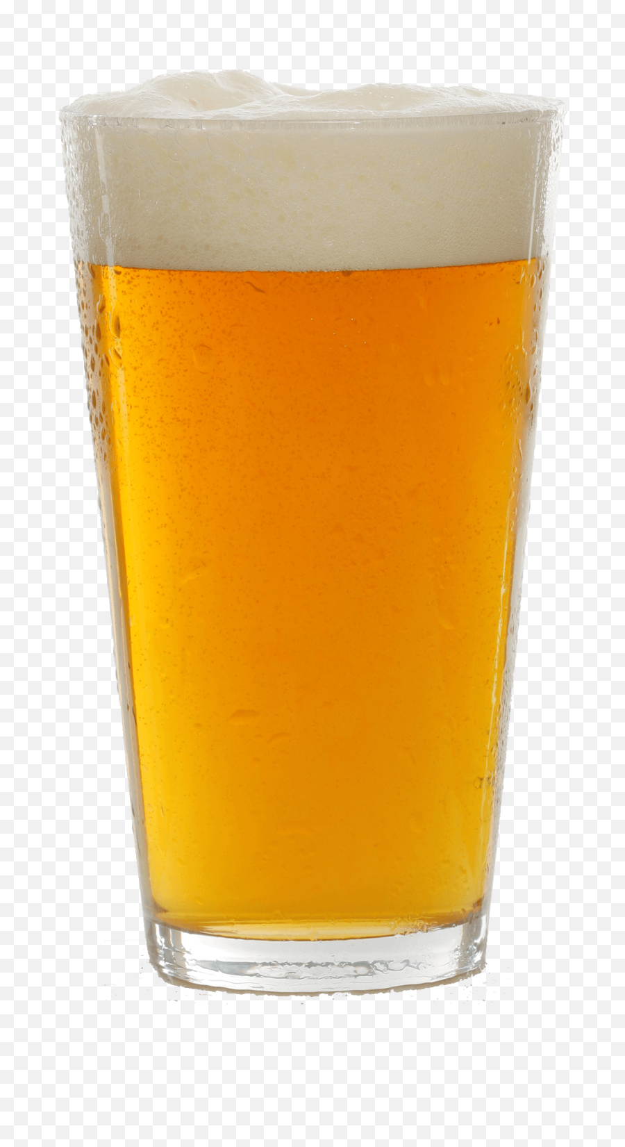 Download Free Png Beer In Mug - Beer Pint Glass Png,Beer Mug Png